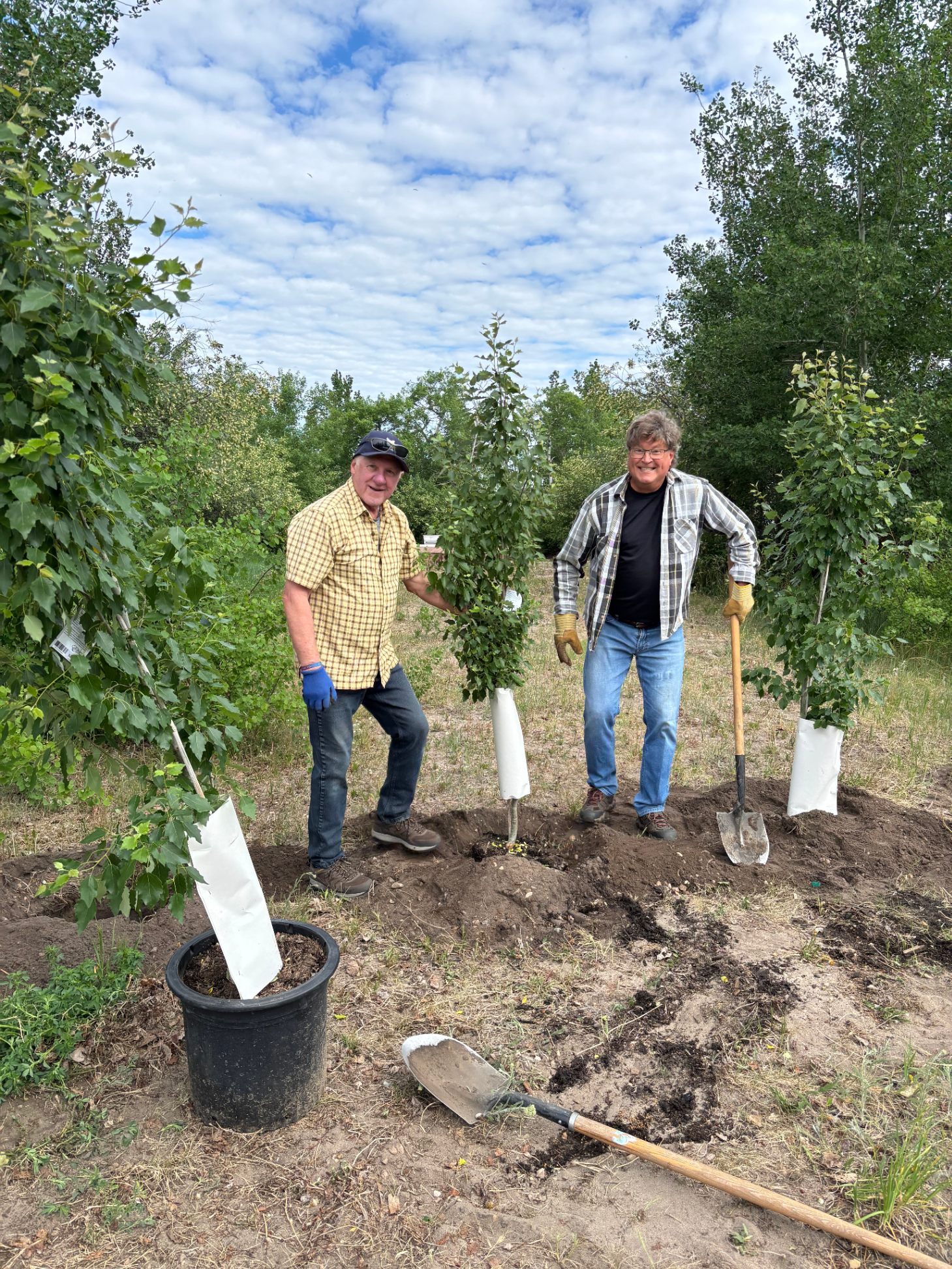 Volunteers planting trees in the community